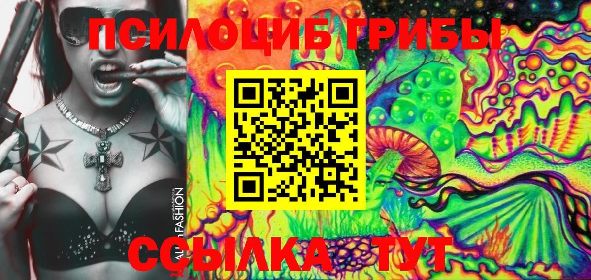Коряжма  купить  сайты  Вход с VPN  Галлюциногенные грибы Psilocybe 